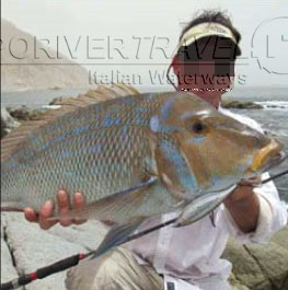 Pesca dalla costa nel mare in Oman, nel Dhofar